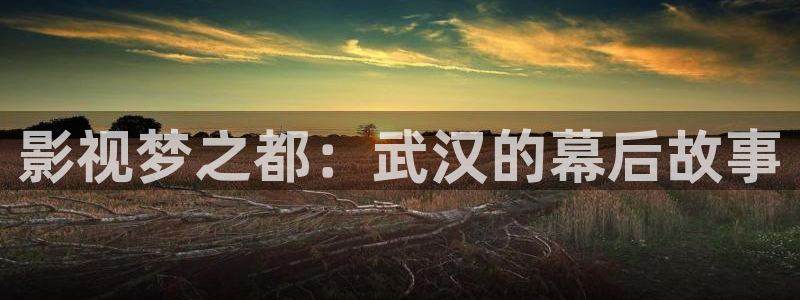 青丝影院电视剧：影视梦之都：武汉的幕后故事