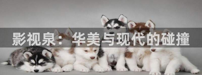 青丝影院免费观看电视剧大全：影视泉：华美与现代的碰撞