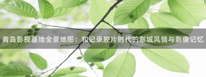 青丝影院在线观看：青岛影视基地全景地图：和记录胶片时代的影城风情与影像记忆
