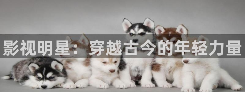 青丝在线影院：影视明星：穿越古今的年轻力量