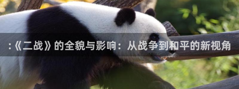 青丝影院免费观看电视剧高清在线播放：:《二战》的全貌与影响：从战争到和平的新视角