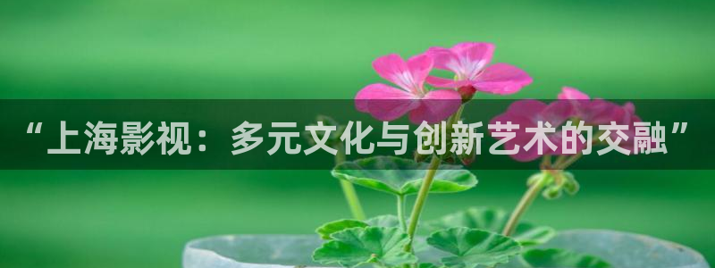 青丝影院电视剧播放量怎么样：“上海影视：多元文化与创新艺术的交融”