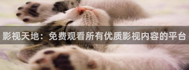 青丝影院免费观看电视剧大全：影视天地：免费观看所有优质影视内容的平台