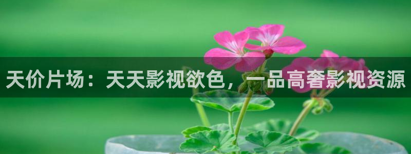 青丝影院：天价片场：天天影视欲色，一品高奢影视资源
