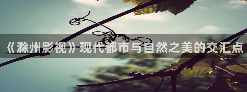 青丝影院在线：《滁州影视》现代都市与自然之美的交汇点